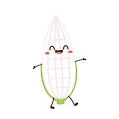 Fresh white corn vector isolated on white background. White corn mascot. White corn cartoon vector. 