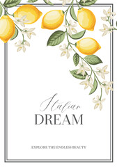 Italian Lemon Poster. Citrus Wall Art. - 741483266