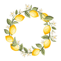 Lemon wreath illustration. hand-drawn citrus. - 741483468