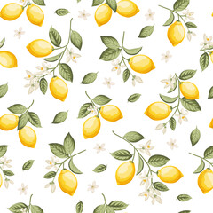 Seamless citrus pattern with lemons. Vector illustration. - 741484616