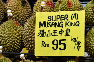 Delicious juicy fleshy aromatic Malaysian durians sold by fruit stalls in night market, Bukit Bintang, Kuala Lumpur, Malaysia. King of fruits in Southeast Asia with pungent smell but savoury taste.