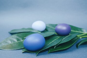 easter eggs and green leaves 