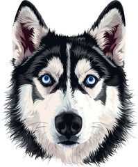 Obraz premium Dog portrait isolated on transparent background. PNG