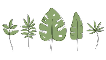Vector illustration of tropical leaves drawn in one line - 741493069