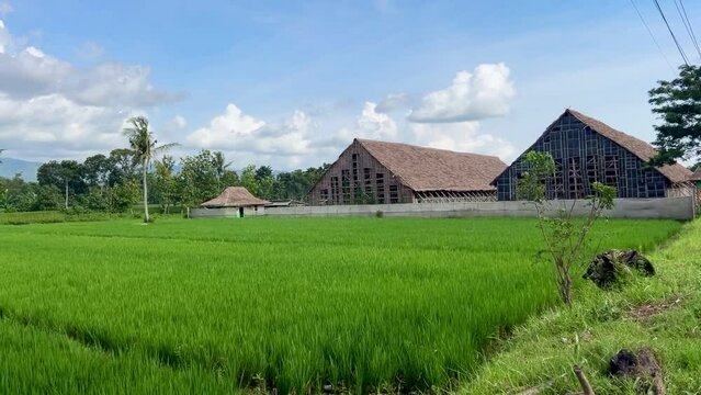 Traditional Tobacco House,or Los Tembakau or Los Mbako, a warehouse for storing and drying harvested tobacco leaves in Jember Regency, East Java, Indonesia