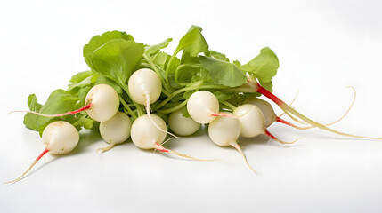 Radish on white background