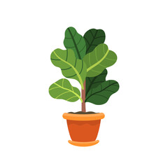 flat plant house vector illustration