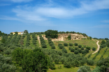 Country landscape near Loreto Aprutino, Abruzzo, Italy