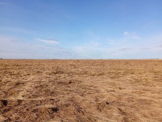 A spacious steppe with yellowed dried grass. A fine bright day over spacious fields. Boundless...
