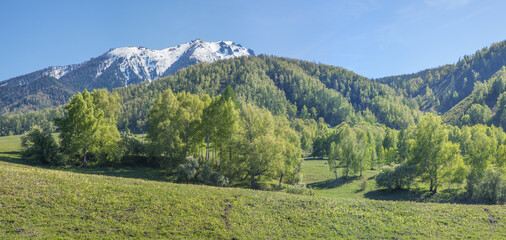 Panoramic view of mountain valley on spring day, green forests and snow on the peaks