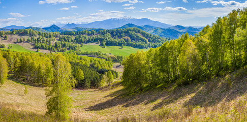 Fototapeta na wymiar Panoramic view of mountain valley on spring day, green forests and snow on the peaks