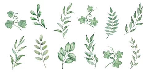 Poster Watercolor set of illustrations. Hand painted green branches with leaves and tendrils. Olive branch. Eucalyptus. Willow. Pumpkin, squash, melon leaves. Botanical elements. Isolated nature clip art © Olga Sidelnikova