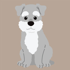 Simple and cute illustration of Miniature Schnauzer sitting in front view flat colored