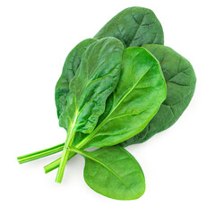 Baby Spinach leaves isolated on white background. Fresh spinach top view. Flat lay