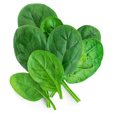 Pile of fresh green baby spinach leaves isolated on white background. Espinach Close up. Flat lay. Food concept.