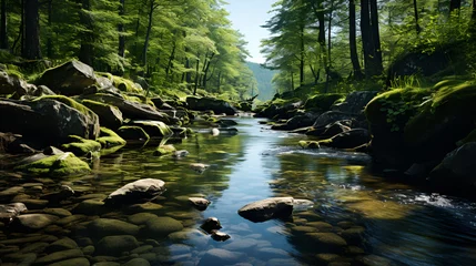 Stickers muraux Rivière forestière A serene forest stream with crystal-clear water flowing over rocks, creating a peaceful and idyllic woodland scene