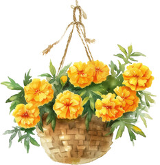 Flower basket isolated on transparent background. PNG
