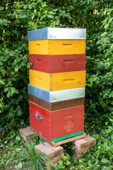 Bee hive in an orchard