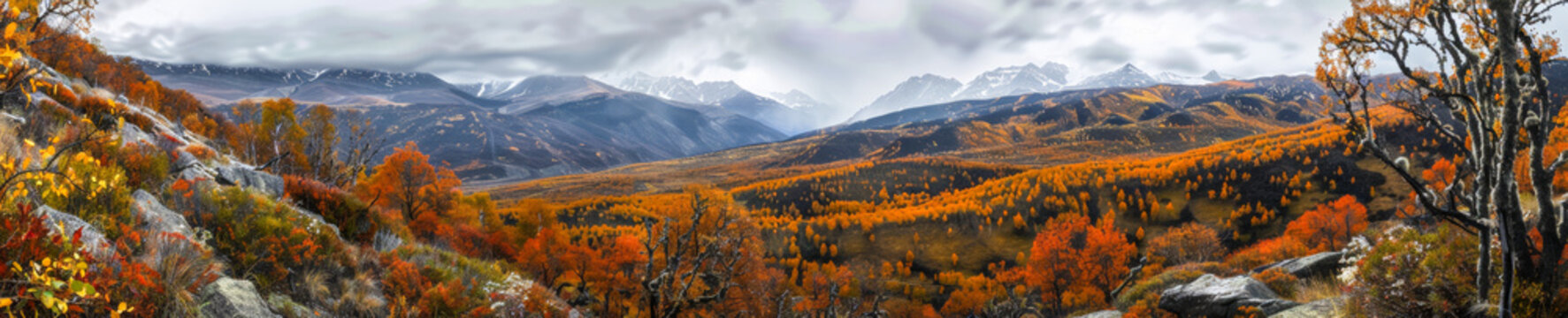 Panorama beautiful autumn, panoramic mountain landscape, background, copy space, yellow, orange and red