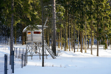 Tower-house for observing animals in a protected coniferous forest in winter on a sunny day. High quality photo