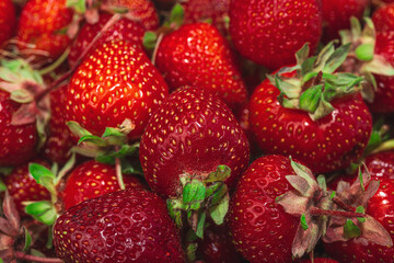 Strawberry background. Ripe fresh fruits, seasonal crop. Healthy superfood, vitamin