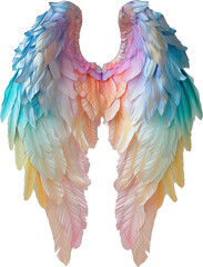Fototapeta premium Angel wings isolated on transparent background