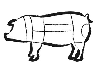 豚の部位のイラスト © あんころもち(ankomando)