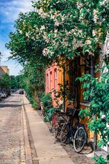 Bicycles parked by a house adorned with green foliage