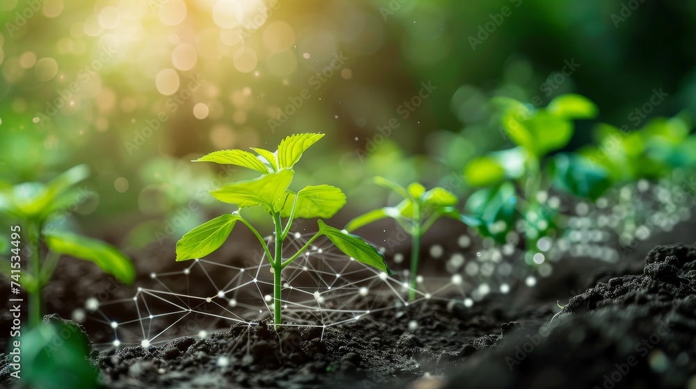 Poster smart agriculture farm using cloud data to optimize resources, representing the impact of cloud tech