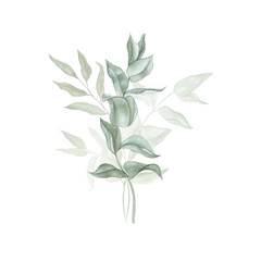 Watercolour floral illustration of green branches. Hand drawn bouquets of eucalyptus  branches