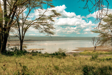 Scenic landscapes at the shores of Lake Nakuru in Kenya