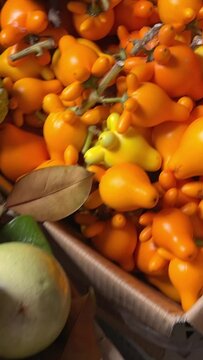 Strange bright orange in Vietnam during New Year's Sold on the street on the ground in boxes by traders at the market Before the New Year tet