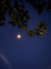 Noche y luna