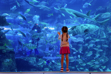 A little girl stands in front of a big aquarium and gazes at the fish
