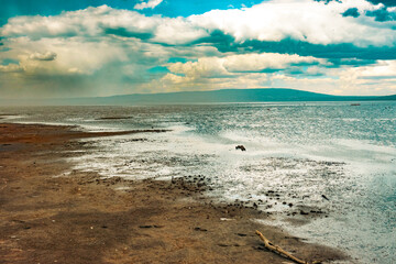 Scenic landscapes at the shores of Lake Nakuru in Kenya