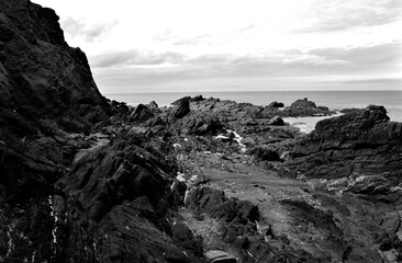 Fototapeta premium rocks on the beach