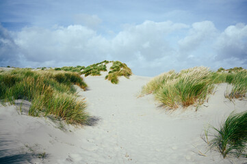 Sand Dunes on North Sea island Ameland