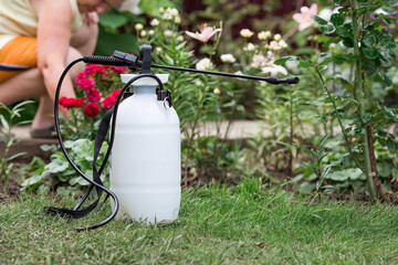 A pesticide sprayer. An elderly woman sprays a stream of chemicals on flowers from insect pests....