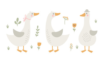 Set with geese and flowers. Vector illustration - 741556087