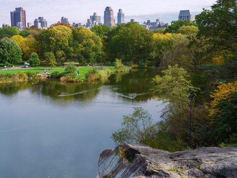Urban Space Central Park, New York City
