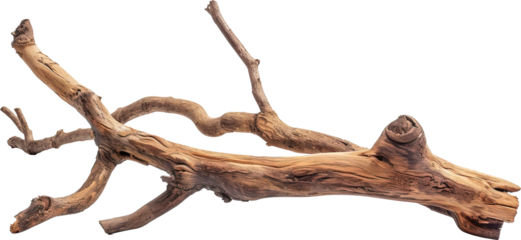 Wooden branch isolated on transparent background. PNG