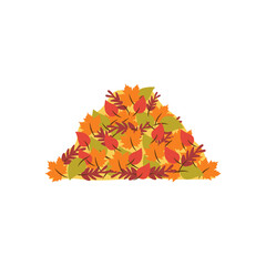 Pile of colorful autumn leaves. Heap of leaves. Fall. Yellow, red, orange brouns maple, oak leaves. White background,