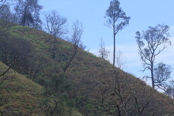 Mountain ridges with sparse tree vegetation and dominated by bushes