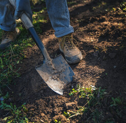 Digging the ground using a shovel, gardening and cleaning, for spring planting in the garden, close-up of a leg and a shovel © olezzo