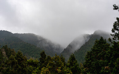 霧立ち上る山