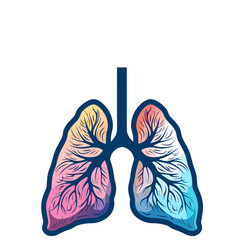 Lungs vector illustration isolated on white background. Vector illustration.