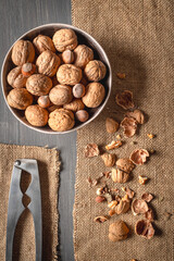 Group of walnuts, hazelnuts, and nutcracker on wooden gray surface.