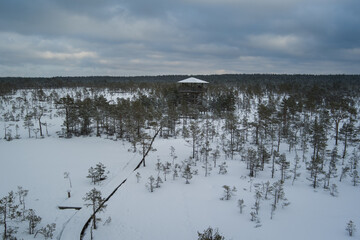 Winter nature scene of Estonia. Observation tower on the Viru swamp in winter day. Drone view.