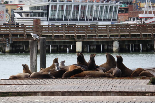 San Francisco, Californie