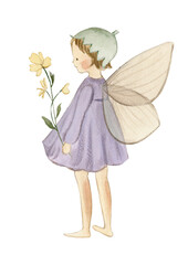 Fairy watercolor illustration, flower fairy, spring fairies 